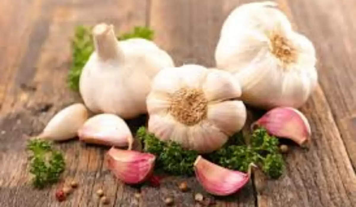 Benefits of Garlic: लहसुन खाने के कितने फायदे है क्या आप जानते हैं?