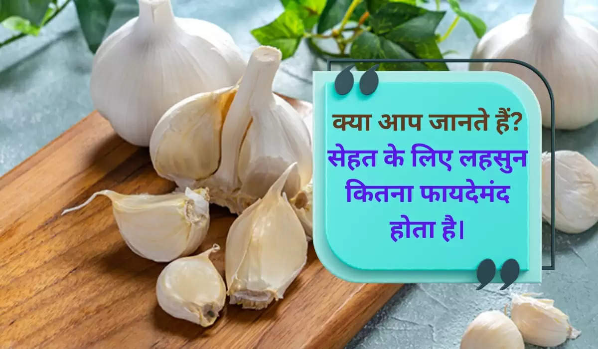Benefits of Garlic: लहसुन खाने के कितने फायदे है क्या आप जानते हैं?