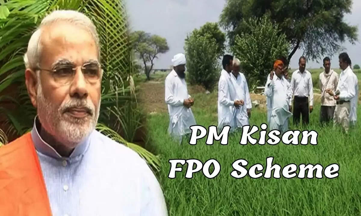 PM Kisan FPO Scheme के तहत सरकार दे रही किसानों को 18 लाख रुपये, ऐसे उठा सकते हैं योजना का फायदा