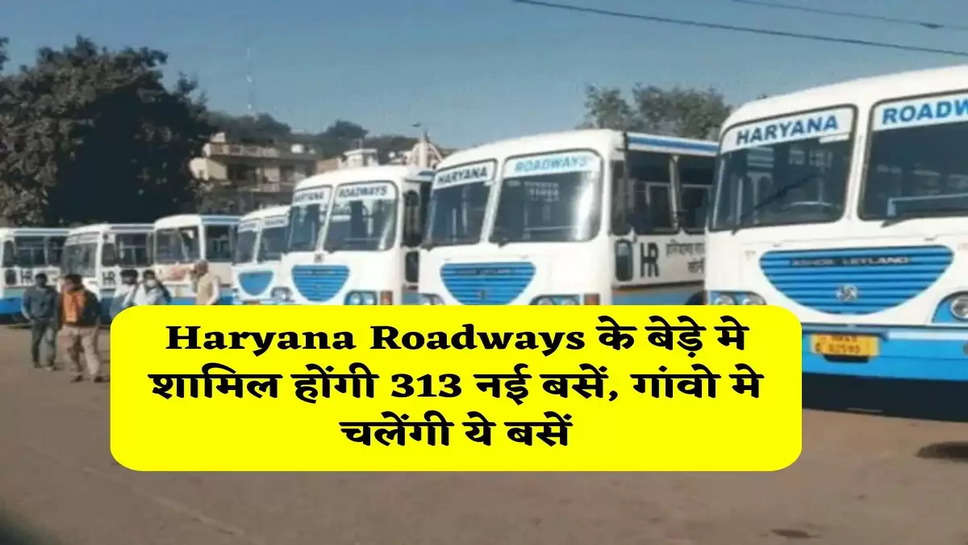 haryana roadways haryana