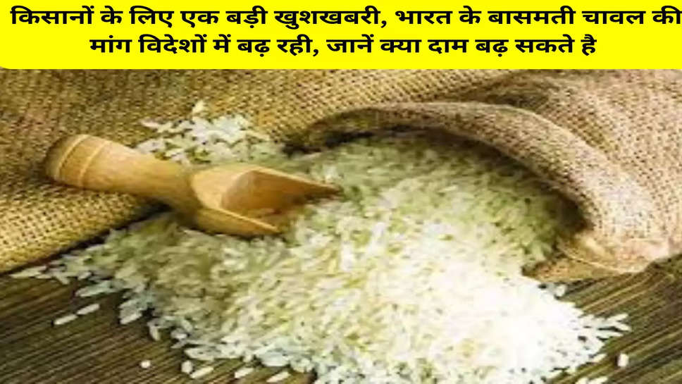 किसानों के लिए एक बड़ी खुशखबरी, भारत के बासमती चावल की मांग विदेशों में बढ़ रही, जानें क्या दाम बढ़ सकते है 
