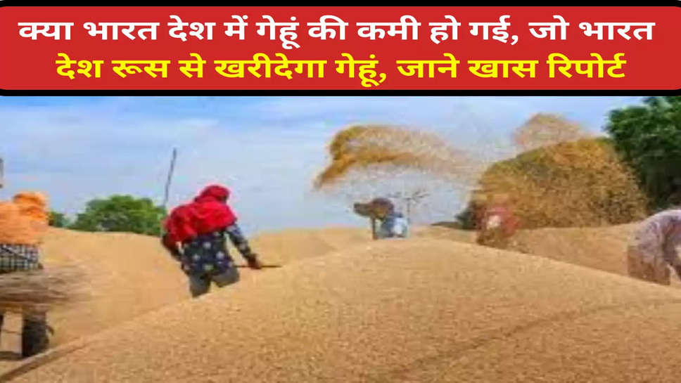 क्या भारत देश में गेहूं की कमी हो गई, जो भारत देश रूस से खरीदेगा गेहूं, जाने खास रिपोर्ट