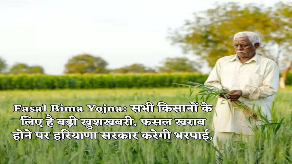 Fasal Bima Yojna: सभी किसानों के लिए है बड़ी खुशखबरी, फसल खराब होने पर हरियाणा सरकार करेगी भरपाई,