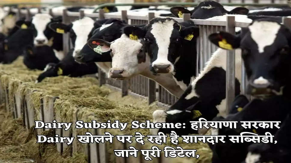 Dairy Subsidy Scheme: हरियाणा सरकार Dairy खोलने पर दे रही है शानदार सब्सिडी, जाने पूरी डिटेल,