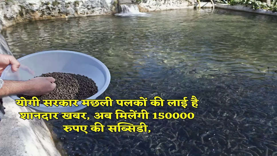 योगी सरकार मछली पलकों की लाई है शानदार खबर, अब मिलेंगी 150000 रुपए की सब्सिडी,